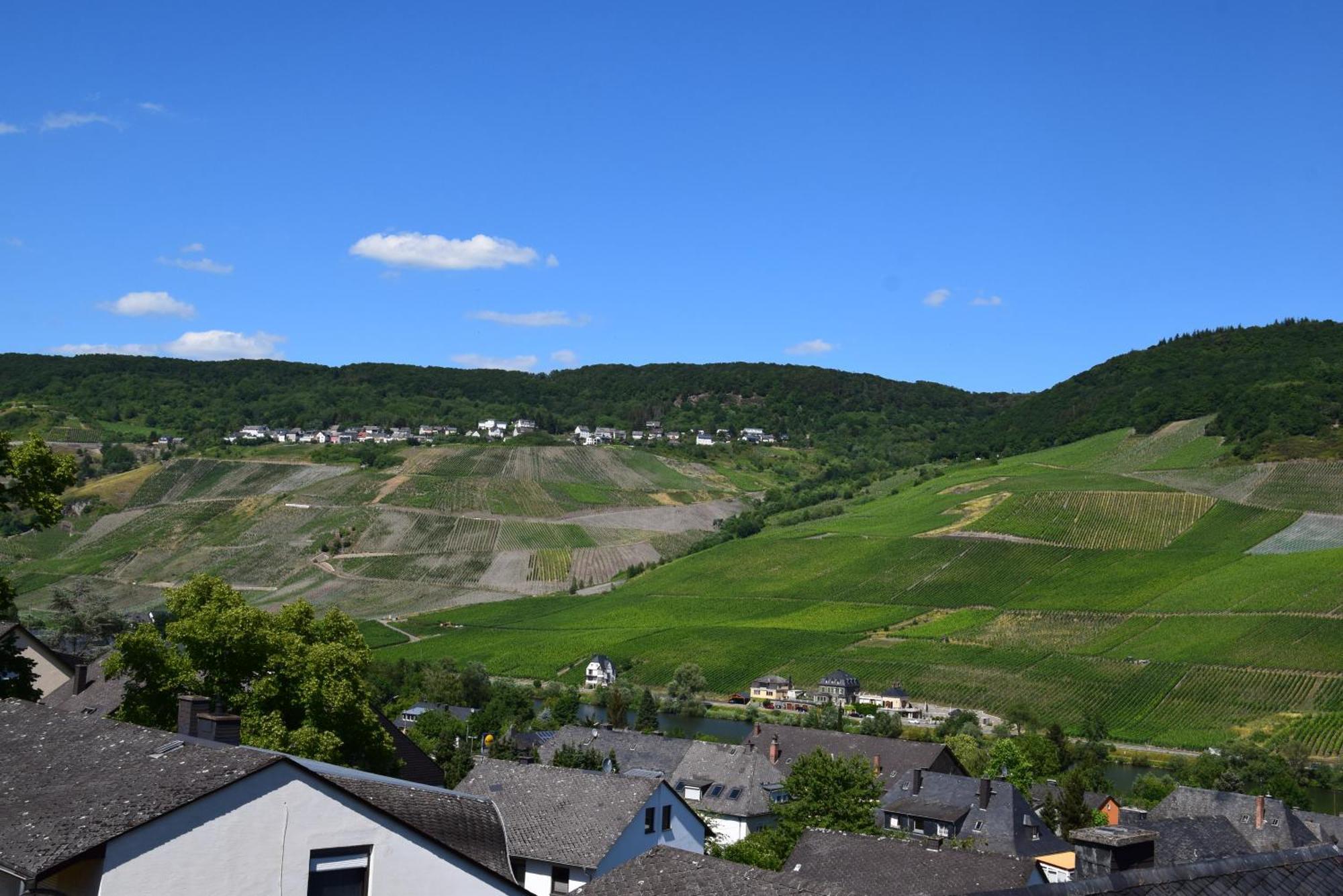 Apartamento Haus Constanze Bernkastel-Kues Exterior foto